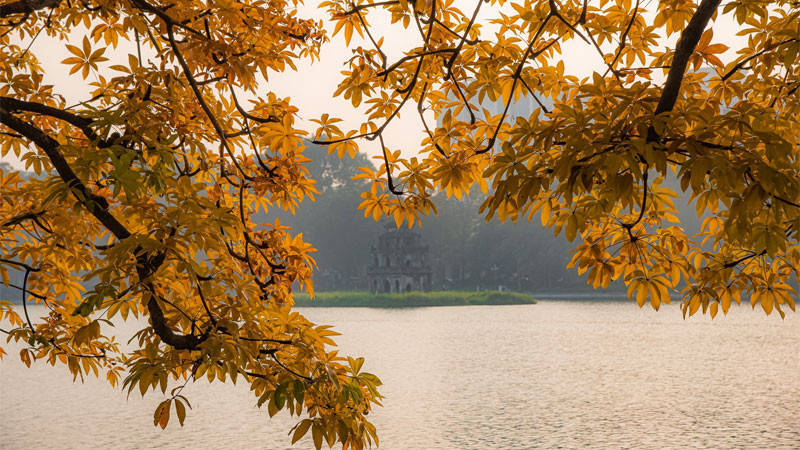 Hồ Gươm ngập tràn sắc vàng mùa thu Hà Nội