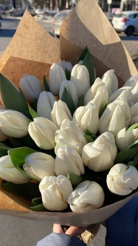 Hoa tulip, đại diện cho sự tôn trọng, biết ơn và yêu thương