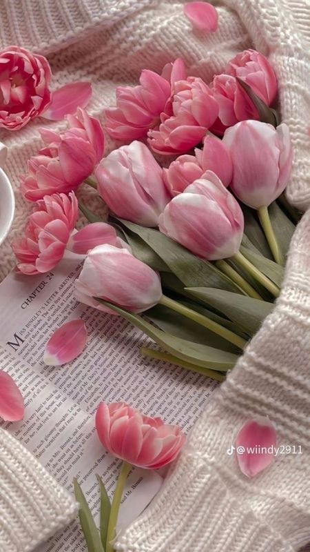 Hoa tulip được ủ ấm trong áo len, nhẹ nhàng nhưng vẫn ngọt ngào