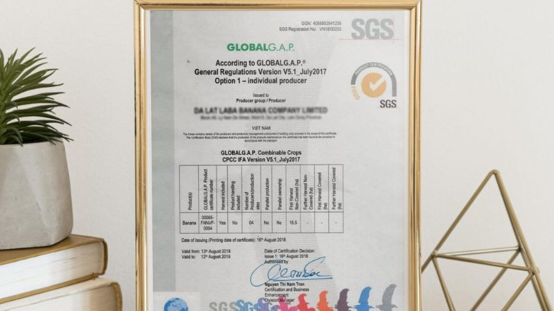 Hoàn thành các bước để đạt được chứng nhận tiêu chuẩn GAP từ tổ chức cấp phép uy tín