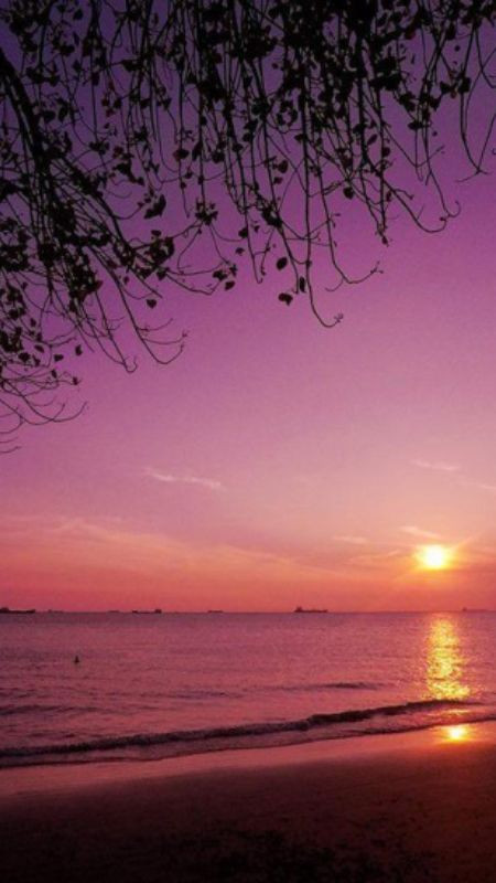 Hoàng hôn buồn trên bãi biển vắng người