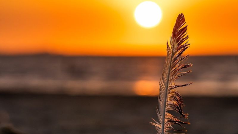 Hoàng hôn buồn trên cảnh vật tĩnh lặng