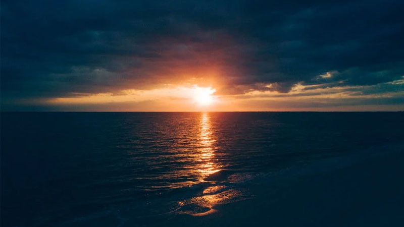 Hoàng hôn thành phố 4K với ánh sáng mặt trời chiếu rọi các tòa nhà