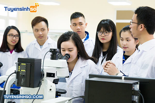 Hoạt động sinh viên tại Trường Đại học Hạ Long