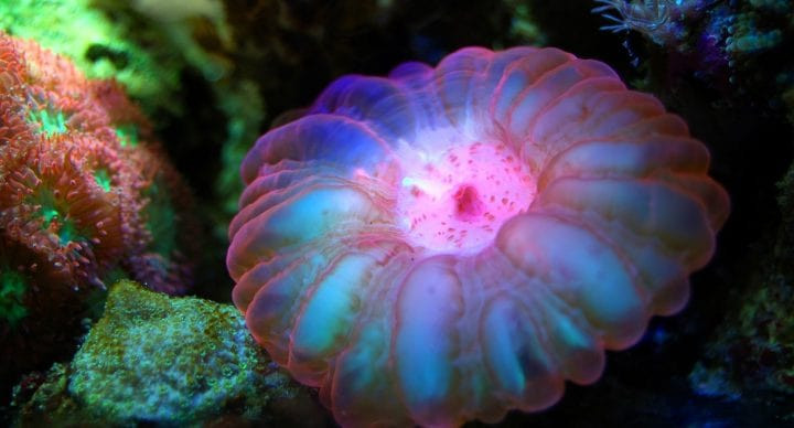 Học sinh tìm hiểu về Sinh học trong giờ Khoa học tại trường trung học Mỹ