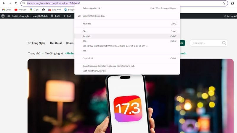 Hướng dẫn cách sao chép địa chỉ URL của một trang web từ thanh địa chỉ trình duyệt