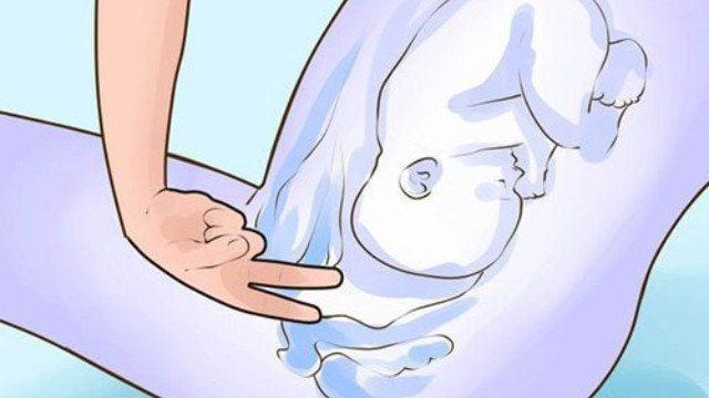 bung nút nhầy có màu gì