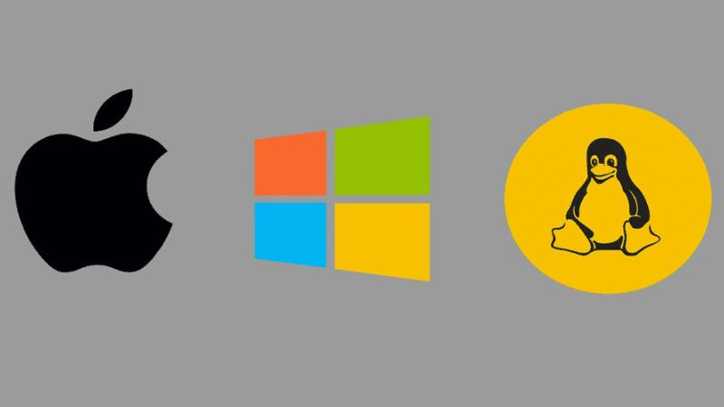 Khả năng tương thích của phần mềm Portable với các hệ điều hành phổ biến (Windows, macOS, Linux)