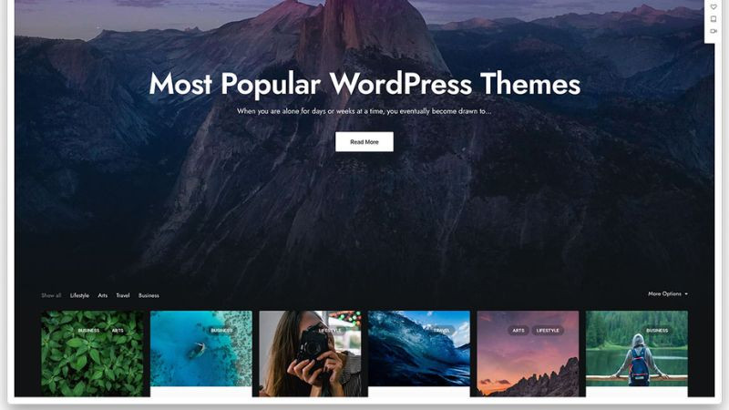 Kho giao diện WordPress khổng lồ với hàng ngàn mẫu Themes miễn phí và trả phí, cho phép tạo website độc đáo
