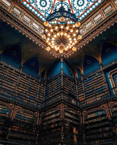 Không gian đọc sách yên tĩnh trong hình ảnh thư viện hiện đại