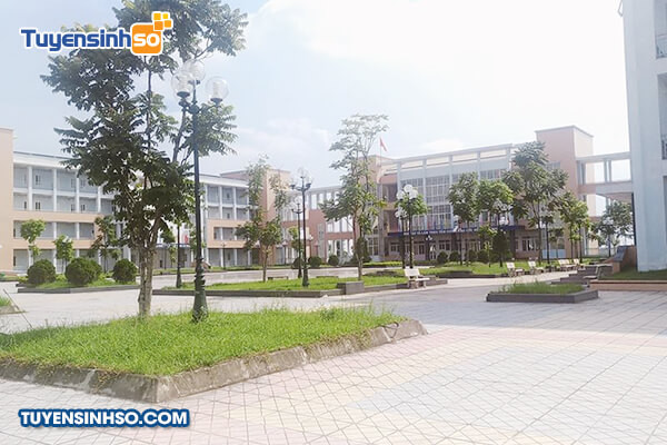 Khuôn viên sân trường rợp bóng cây tại Cao đẳng Sư phạm Hà Tây