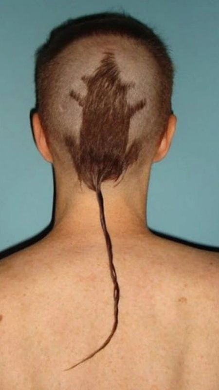 Kiểu tóc hình chú chuột độc lạ tạo sự hài hước