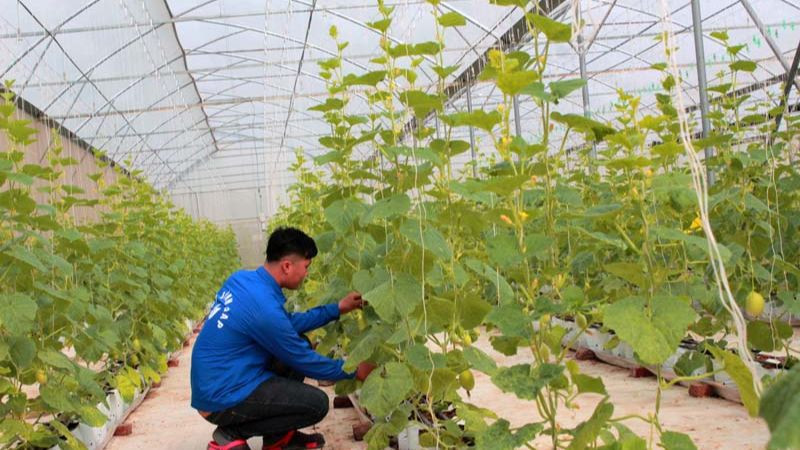 Làm việc với đơn vị chứng nhận để xác định chi phí kiểm tra và đánh giá cấp chứng chỉ GAP