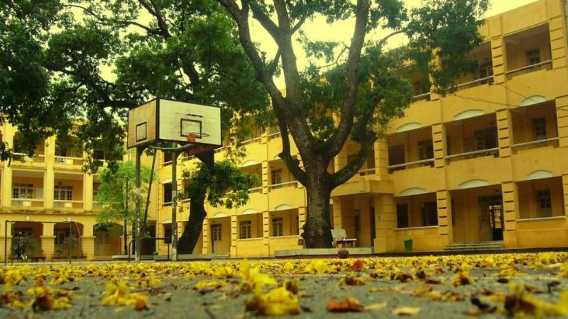 Lối đi trong sân trường rợp bóng cây xanh