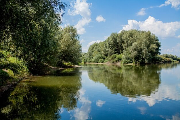 Mặt hồ phẳng lặng bên cạnh khu rừng cây xanh tốt, hình ảnh phản chiếu tạo cảm giác tĩnh mịch