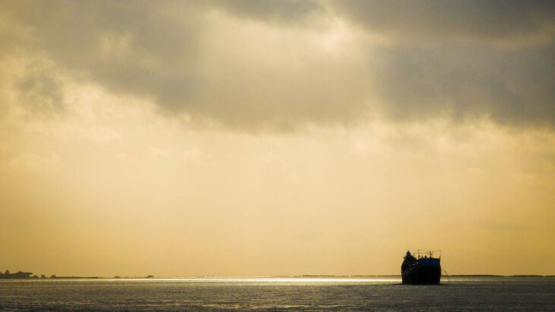 Mặt trời lặn sau hàng cây, bầu trời chuyển màu tím buồn