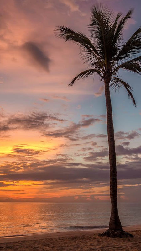 Mặt trời lặn tạo vệt sáng rực rỡ trên mặt biển gợn sóng