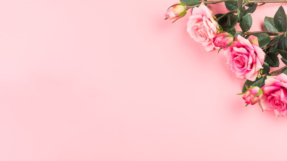 Mẫu ảnh nền PowerPoint hoa lá đơn giản với cành cây mờ