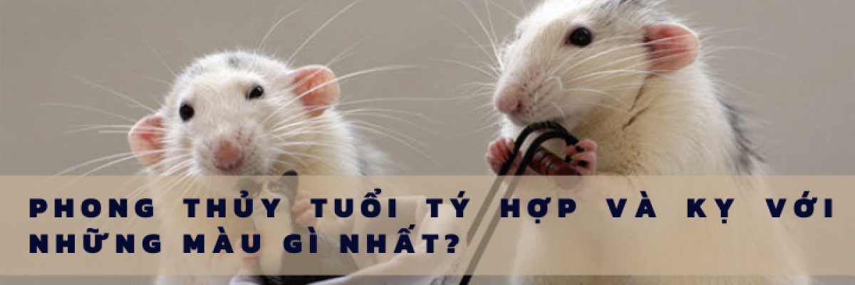 Giải mã 2008 mệnh gì và những màu sắc hợp Su dung mau sac hop menh hoa 2008 nhu do hong tim xanh la cay trong tranh ve