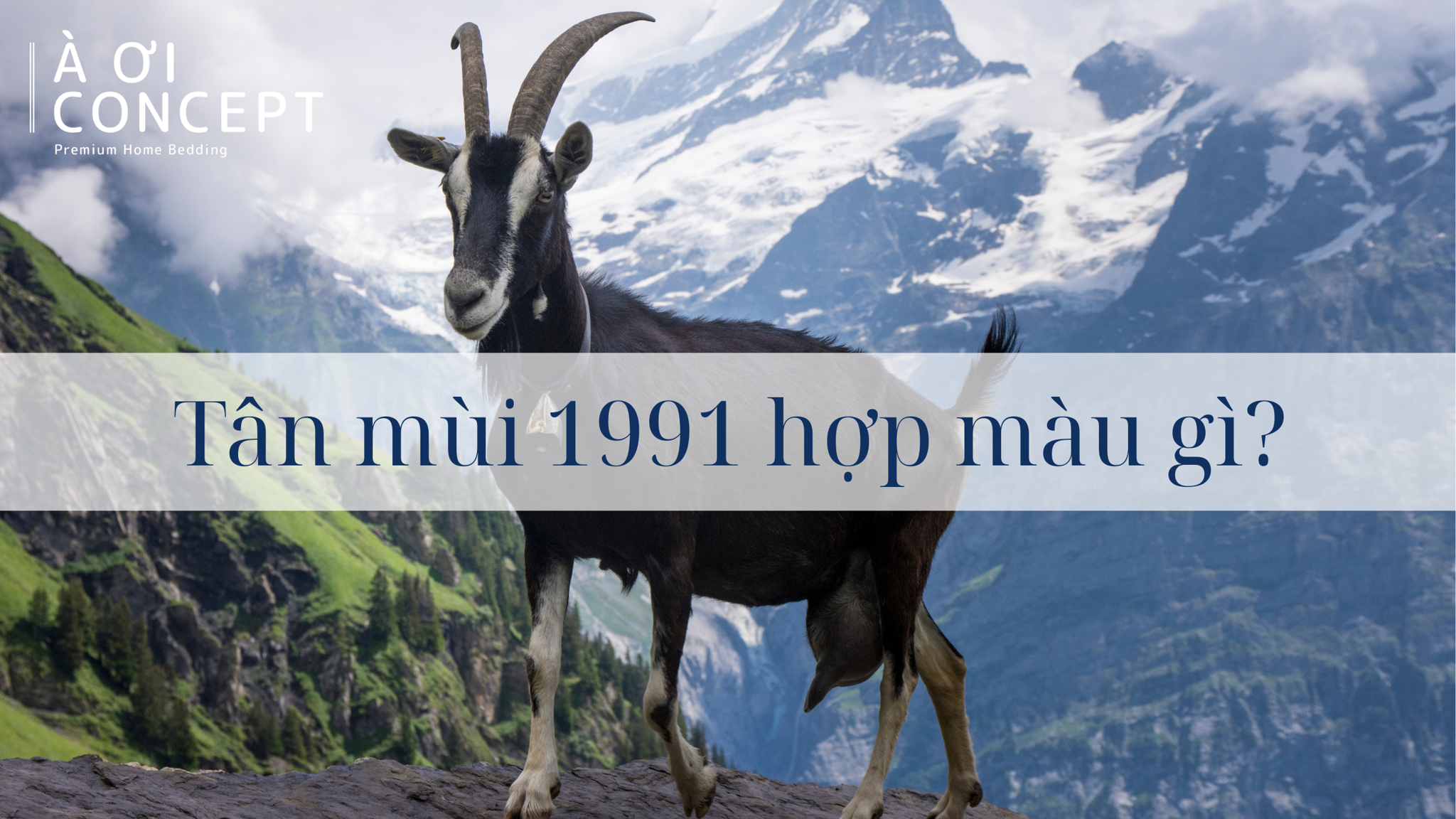 Khám phá các màu sắc tương sinh tương hợp với người mệnh Thổ sinh năm 1991