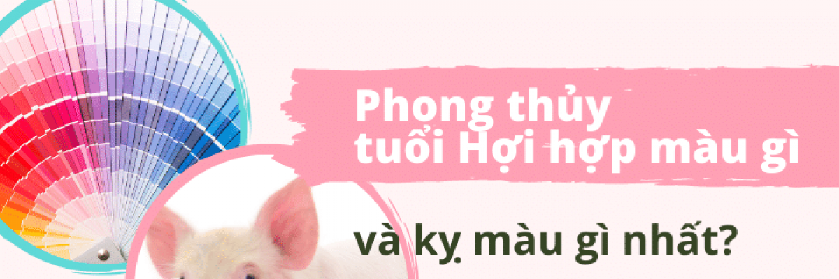Những màu sắc tương khắc mà người tuổi Hợi 1983 mệnh Thủy nên tránh theo phong thủy