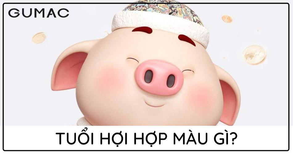 Bảng màu phong thủy may mắn cho người tuổi Hợi