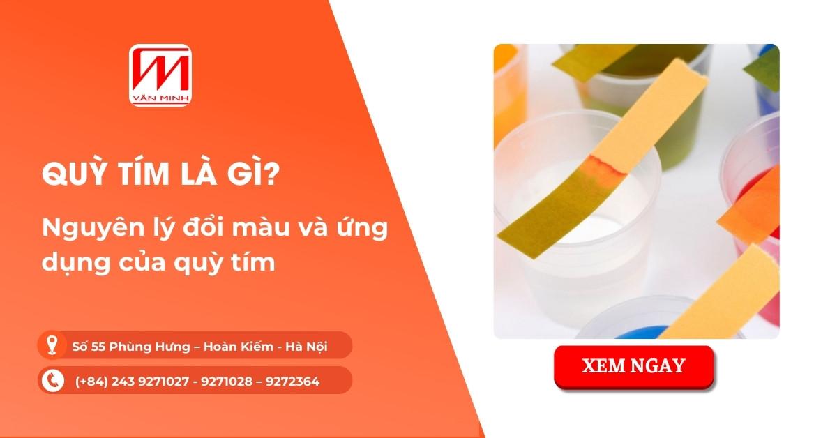 Phản ứng màu sắc của quỳ tím với môi trường axit (đỏ) và kiềm (xanh) minh họa sự thay đổi màu sắc cơ bản
