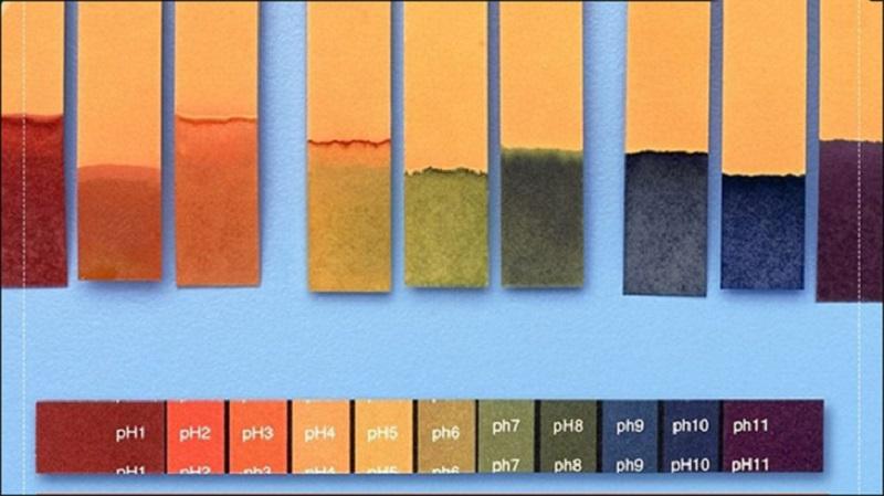 Bảng so sánh màu sắc của quỳ tím trong môi trường axit, trung tính và bazo