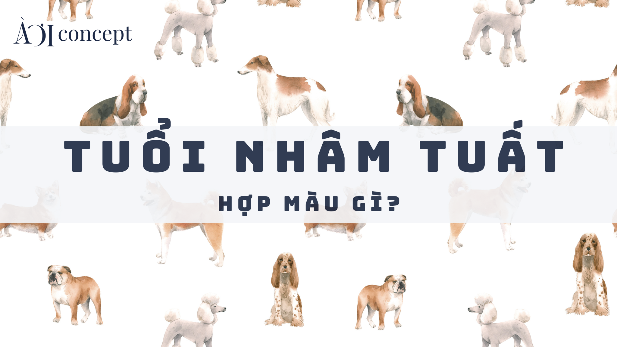 Mau sac tuong hop hop menh nguoi sinh nam 1982 dai hai thuy trong thiet ke