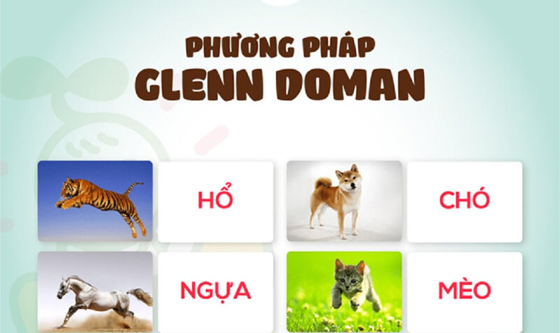 Mẹ đang sử dụng thẻ học flashcard để dạy con theo phương pháp giáo dục sớm Glenn Doman