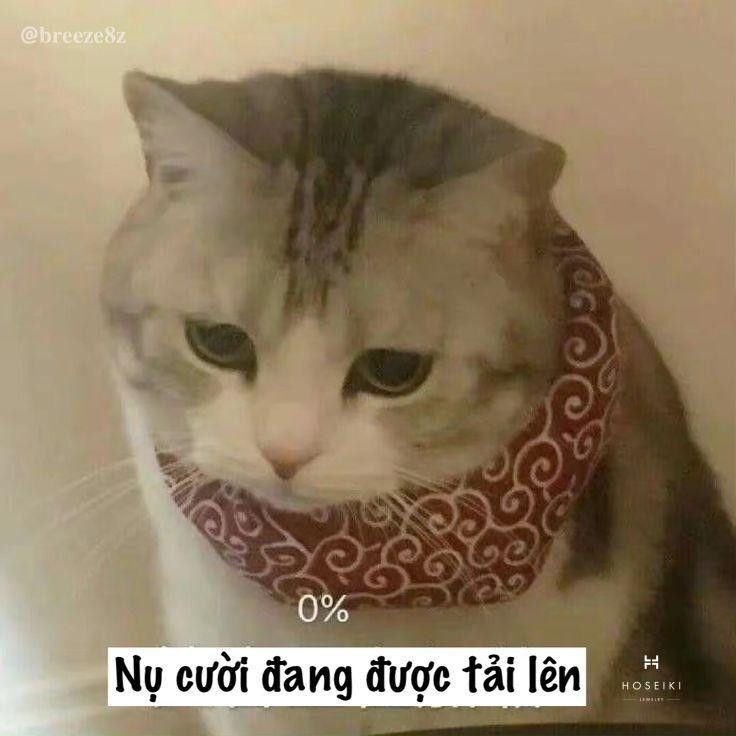 Meme buồn đơn giản nhưng chất chứa đầy tâm trạng và suy nghĩ