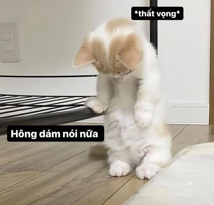 Meme buồn với biểu cảm sâu lắng, thể hiện cảm xúc quen thuộc về sự thất vọng