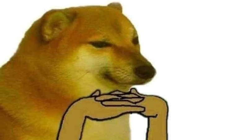 Meme chó thể hiện sự phấn khích quá mức, rất đặc trưng của một số giống chó