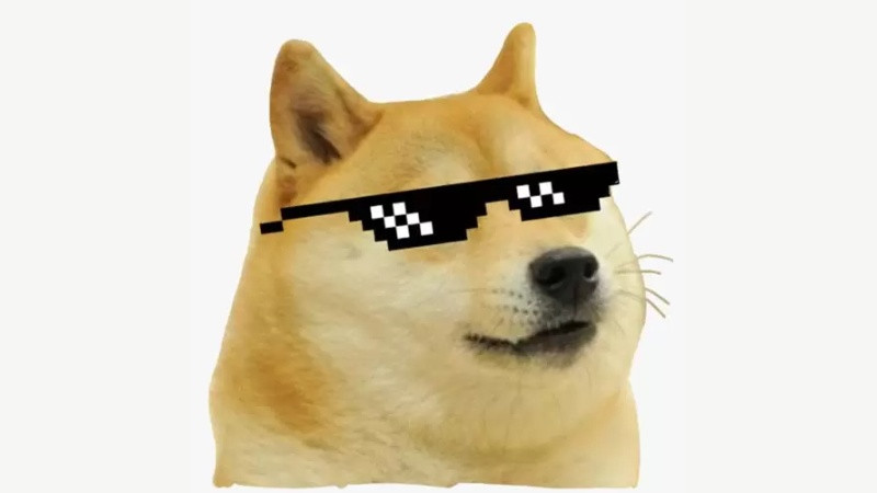 Meme chó với biểu cảm hài hước, thường thấy trong bộ sưu tập ảnh chế vui nhộn