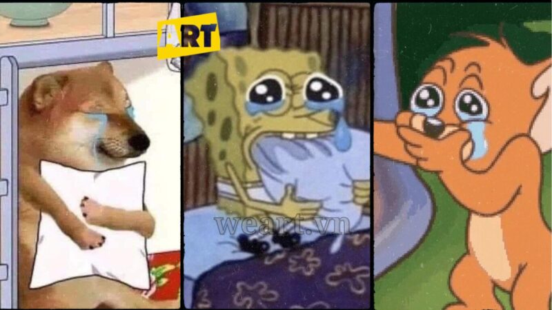 Tổng hợp những Meme Khóc phổ biến nhất Tổng hợp những Meme Khóc phổ biến nhất