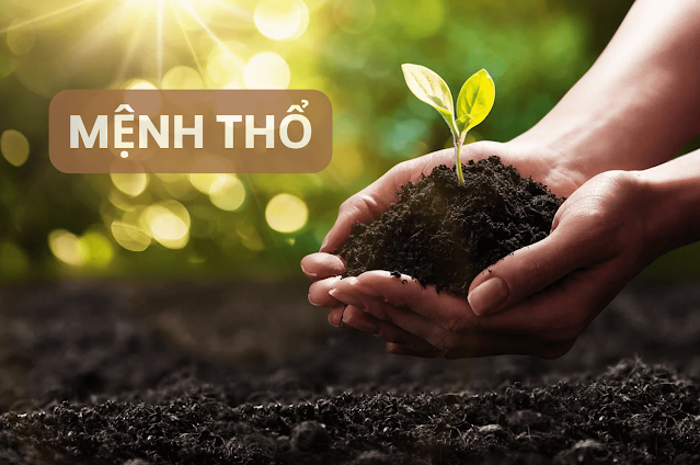 Mệnh Thổ hợp màu gì: Các tông màu vàng đất và nâu tượng trưng cho bản mệnh Thổ