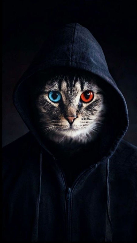 Mèo 3D ngầu ngồi trên vật thể lạ, đầy tính viễn tưởng