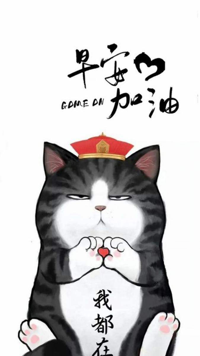 Mèo con nhìn ra ngoài cửa sổ