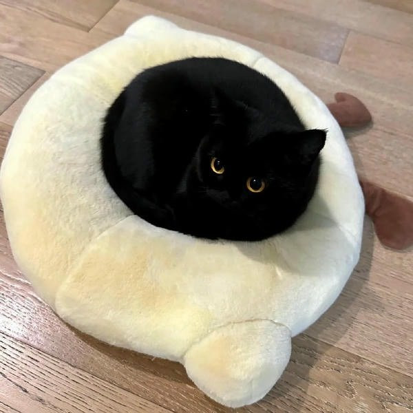 Mèo đen nằm dài trên ghế sofa