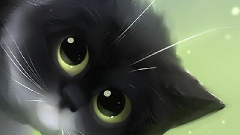 Mèo hoạt hình đáng yêu với màu sắc tươi sáng