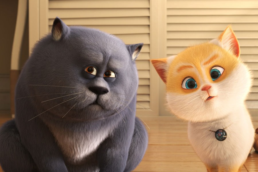 Mèo hoạt hình màu xám đang nhìn với vẻ mặt đáng yêu