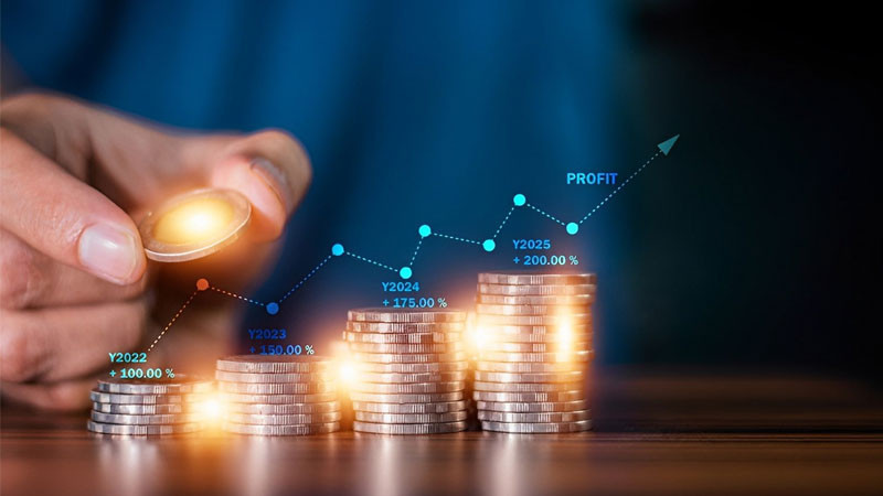 Minh họa dòng tiền ròng (Net Cash Flow) được sử dụng trong tính toán NPV