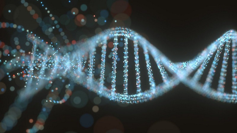 Minh họa đột biến lệch khung làm thay đổi toàn bộ khung đọc mã di truyền