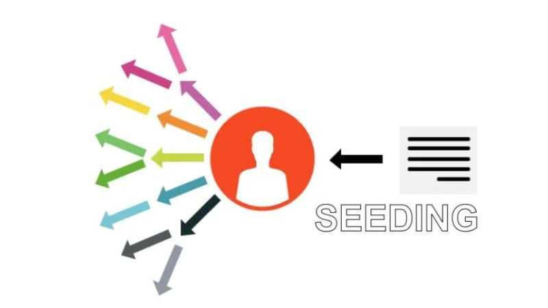 Minh họa giai đoạn đầu của chiến lược Seeding: xây dựng và nhận diện thương hiệu trong tâm trí khách hàng