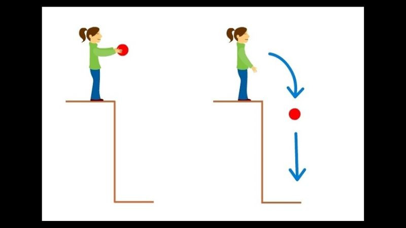 Minh họa thế năng hấp dẫn của vật theo độ cao so với mốc tham chiếu