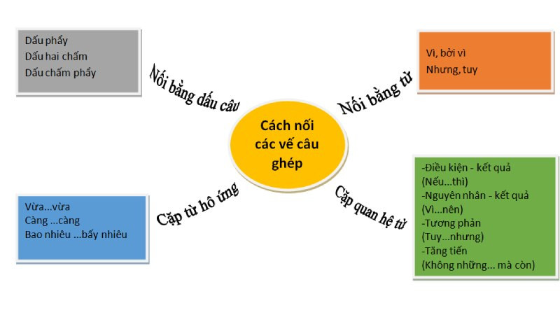 Minh họa vai trò của phép nối, sử dụng các từ nối để tạo mối liên kết logic giữa các câu và đoạn văn