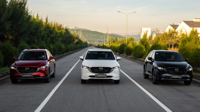 Minh họa về sự khác biệt giữa phiên bản thường và phiên bản Premium