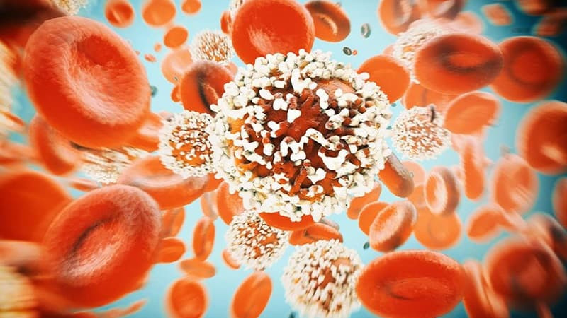 Mối liên hệ giữa đột biến gen và nguy cơ mắc bệnh mãn tính như ung thư, tim mạch