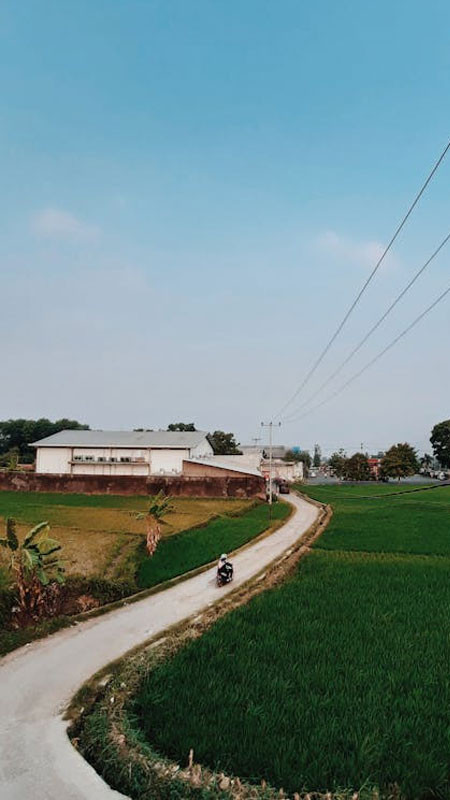 Một buổi sáng yên tĩnh bên cửa sổ ngập tràn ánh sáng lofi ấm áp