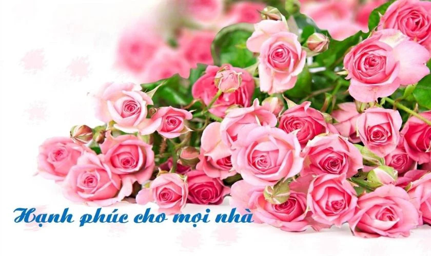 Một cặp đôi lãng mạn ngồi bên nhau ngắm hoàng hôn, biểu tượng của tình yêu và hạnh phúc